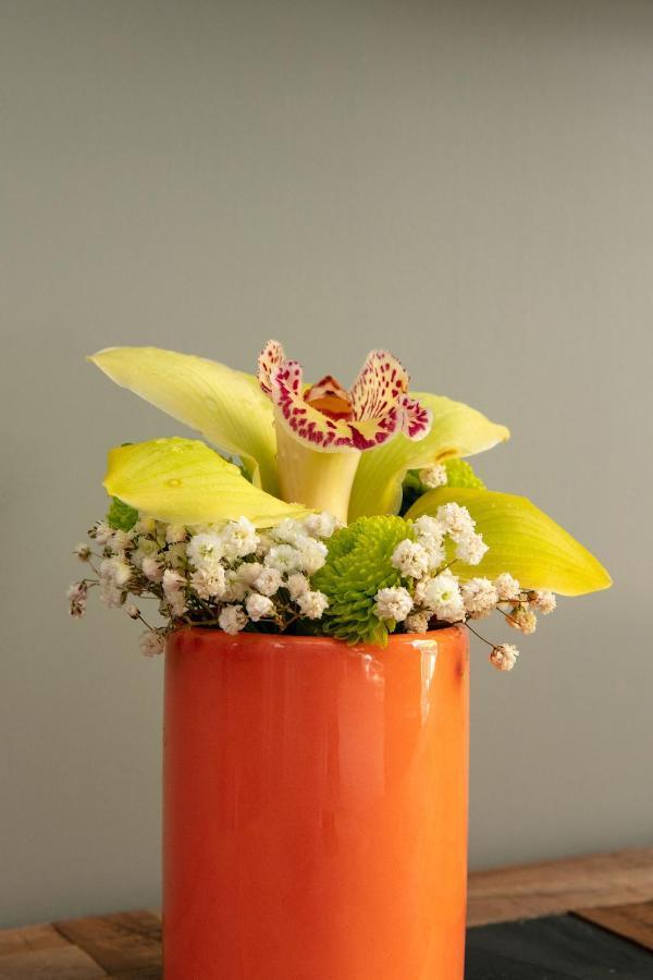 Le Grand Albert 1Er เมซง-อัลฟอร์ ภายนอก รูปภาพ